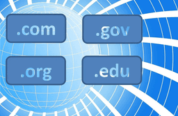 Selecting the Right Web Domain for your Business